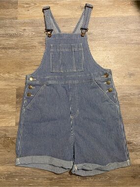 Striped Blue Overall Shorts 2